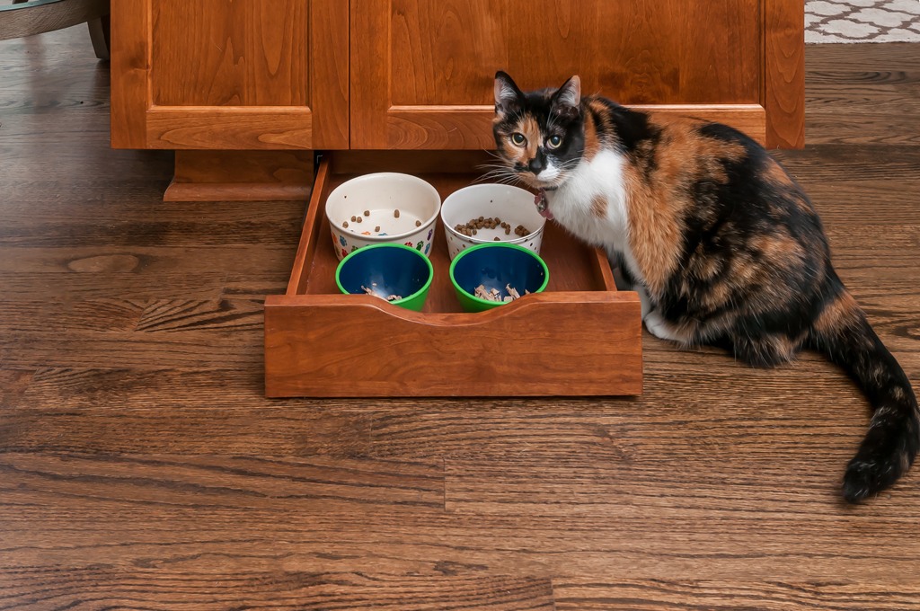 Pet food drawer in the toekick