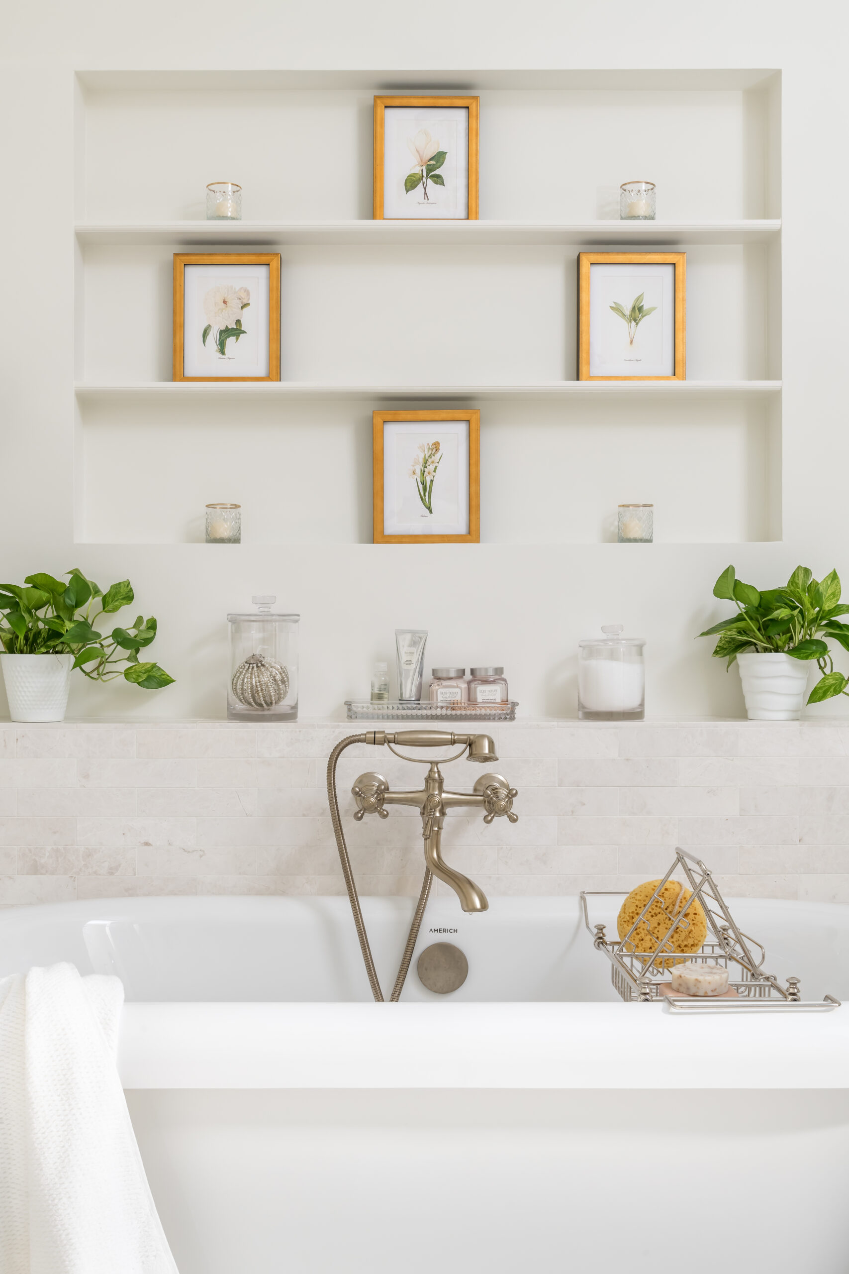 Recessed shelves with botanical prints