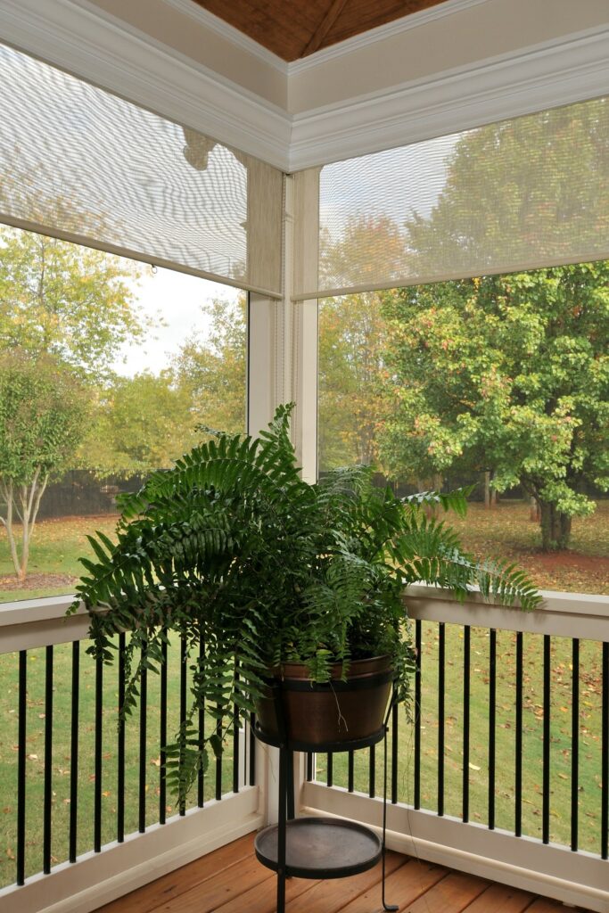 A porch with retractable screen and a potted fern plant