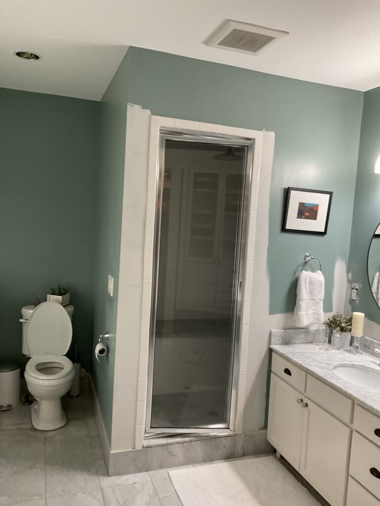 Craftsman bathroom remodel before