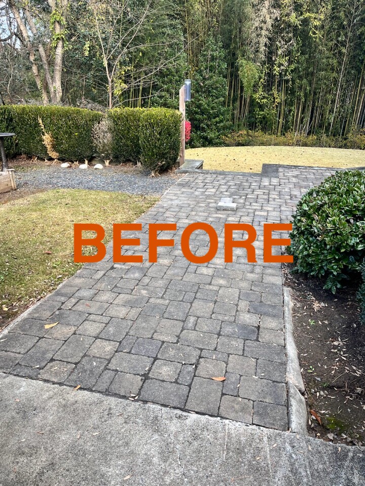 backyard before
